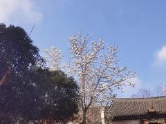 -长春观