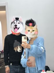 -iplus爱家高端孕妇摄影