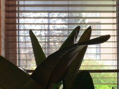 -Ponte 意大利餐厅