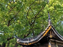 -同里国家湿地公园
