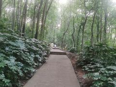 -大蜀山国家森林公园