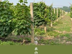 -安德鲁户外烧烤帐篷营地(马泉营店)