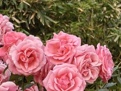 -下沉广场(羊坊店街道)