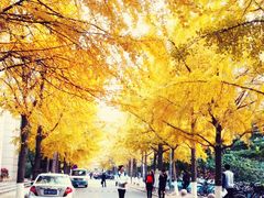 -北京化工大学(东校区)