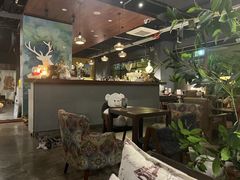 -咖法森林·咖啡  酒吧(天河店)