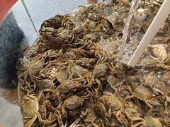 -仙螺岛海鲜自助餐厅(总店)