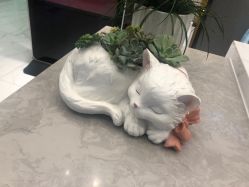 -欧扬医疗美容