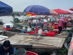 -阳澄湖半岛旅游度假区