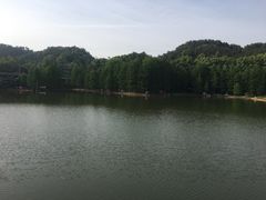 -青龙山国家森林公园