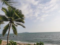 -三亚湾红树林度假世界(木棉酒店)