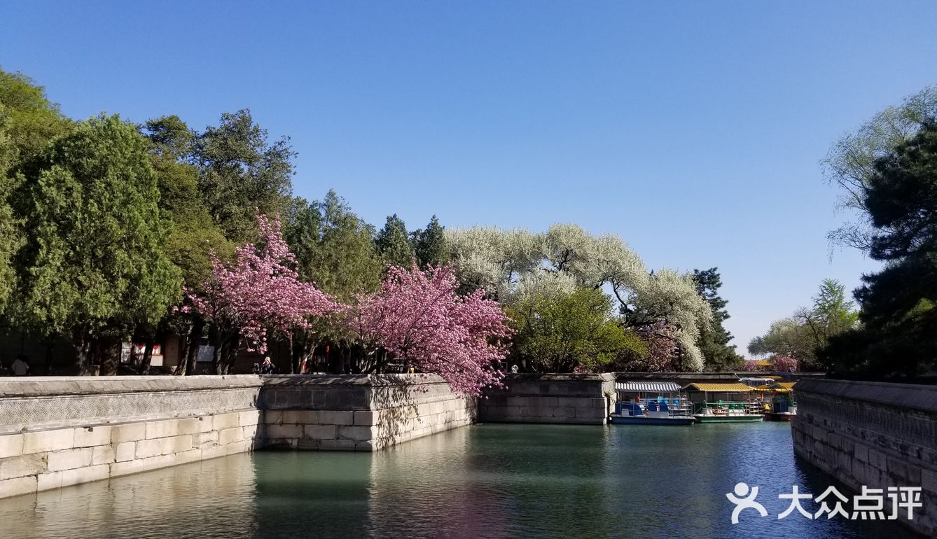 花的海洋+最能感受北京春意的地方之一