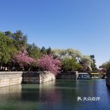 花的海洋+最能感受北京春意的地方之一