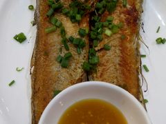 香煎大黄花鱼-汇景花园酒家(基立下道店)
