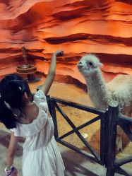 -酷嗒动物文化乐园(cutezoo西溪乐天城店)