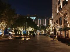 -杭州城中香格里拉大酒店