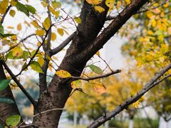 -长沙市青少年宫