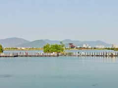 -芒洲湿地公园
