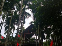 -七仙岭温泉国家森林公园
