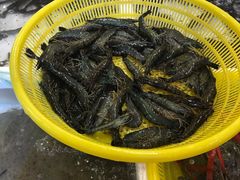 -板桥海鲜广场(文明东店)