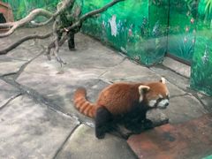 -常州淹城野生动物世界