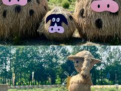 -中国天府农业博览园