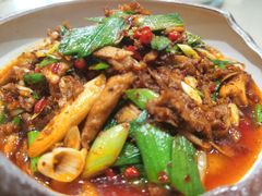 小炒毛肚皮-61度辣馆(通天街店)