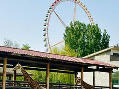 -石家庄市动物园