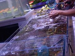 -聚盛源蒸汽海鲜火锅烤肉自助(巨川金海岸购物广场店)