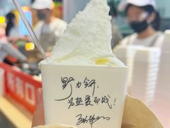 -野人先生现做冰淇淋(西安赛格店)