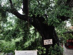 -东江渔村·古典园林·30年粤菜老字号(太和店)