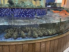 -太子园林酒家
