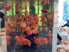 -怡咖啡海鲜自助餐厅(浦东香格里拉店)