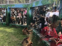 -西安秦岭野生动物园