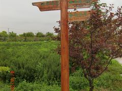 CIMG1728-苏州太湖西山岛开心农场