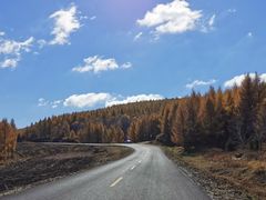 -塞罕坝国家级自然保护区