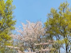 -南京市江宁方山