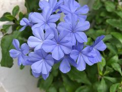 -熊叔熊婶面包房(团结湖店)