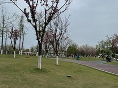 -府河摄影公园