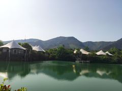 -帐篷客·溪龙茶谷度假酒店