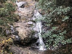 -东天目山风景区