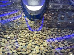 -澜悦港海鲜体验主题餐厅