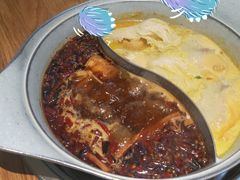 -青瓷火锅料理(西单大悦城店)