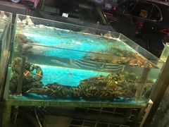 -喜来酌海鲜·饺子(和平一店)