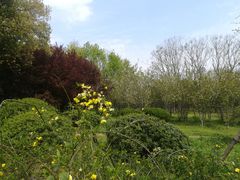 -蜀冈西峰生态公园