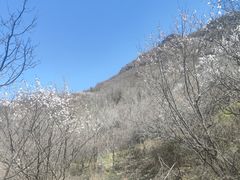 -妙峰山风景名胜区
