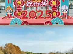 -上海长兴岛郊野公园