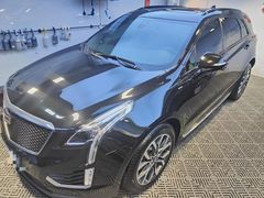 -天猫养车贴膜轻改·蓝电(优匹康桥东路店)