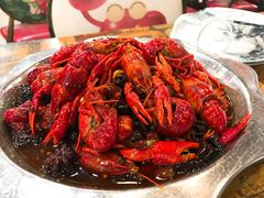 -大孩龙虾(体育场旗舰店)