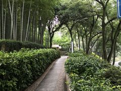 -上海市保健医疗中心