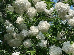 -杭州城北体育公园